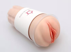 Мастурбатор-вагина Naked Factory V-02