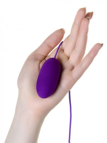 Фиолетовое виброяйцо с выносным пультом управления EGZO