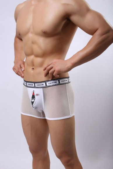 Сетчатые трусы-боксеры Cockcon Trunks с принтом на гульфике