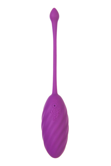 Фиолетовое силиконовое виброяйцо Purr